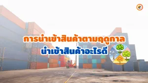 การนำเข้าสินค้าตามฤดูกาล