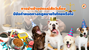 อุปกรณ์สัตว์เลี้ยง